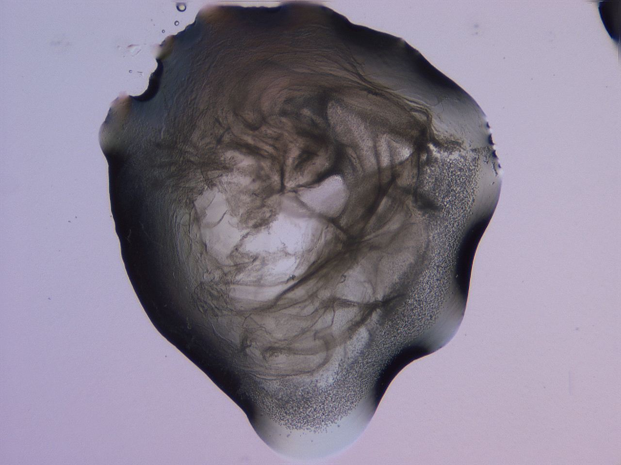 04g2_E6_ImagerDefaults_3.jpg