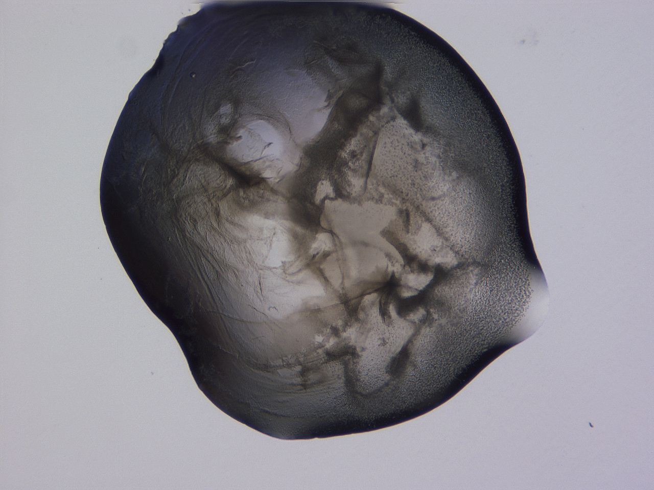 04g2_E11_ImagerDefaults_3.jpg