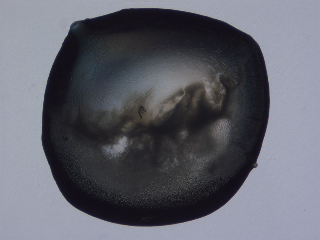 04g2_F1_ImagerDefaults_3.jpg