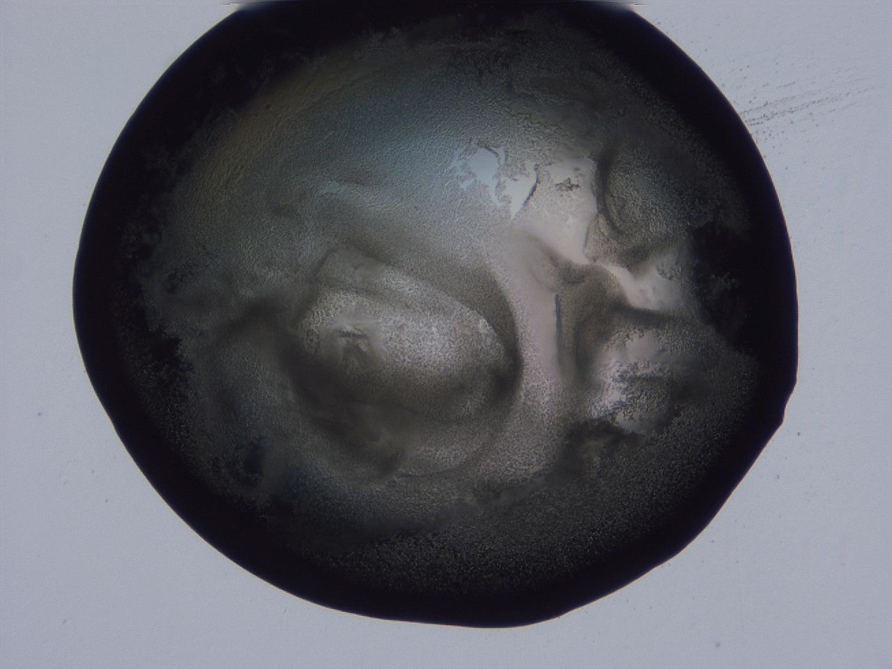 04g2_F4_ImagerDefaults_3.jpg