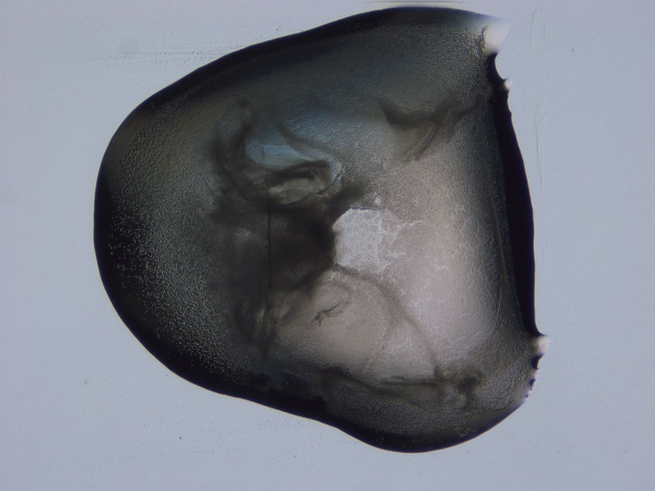 04g2_F5_ImagerDefaults_3.jpg
