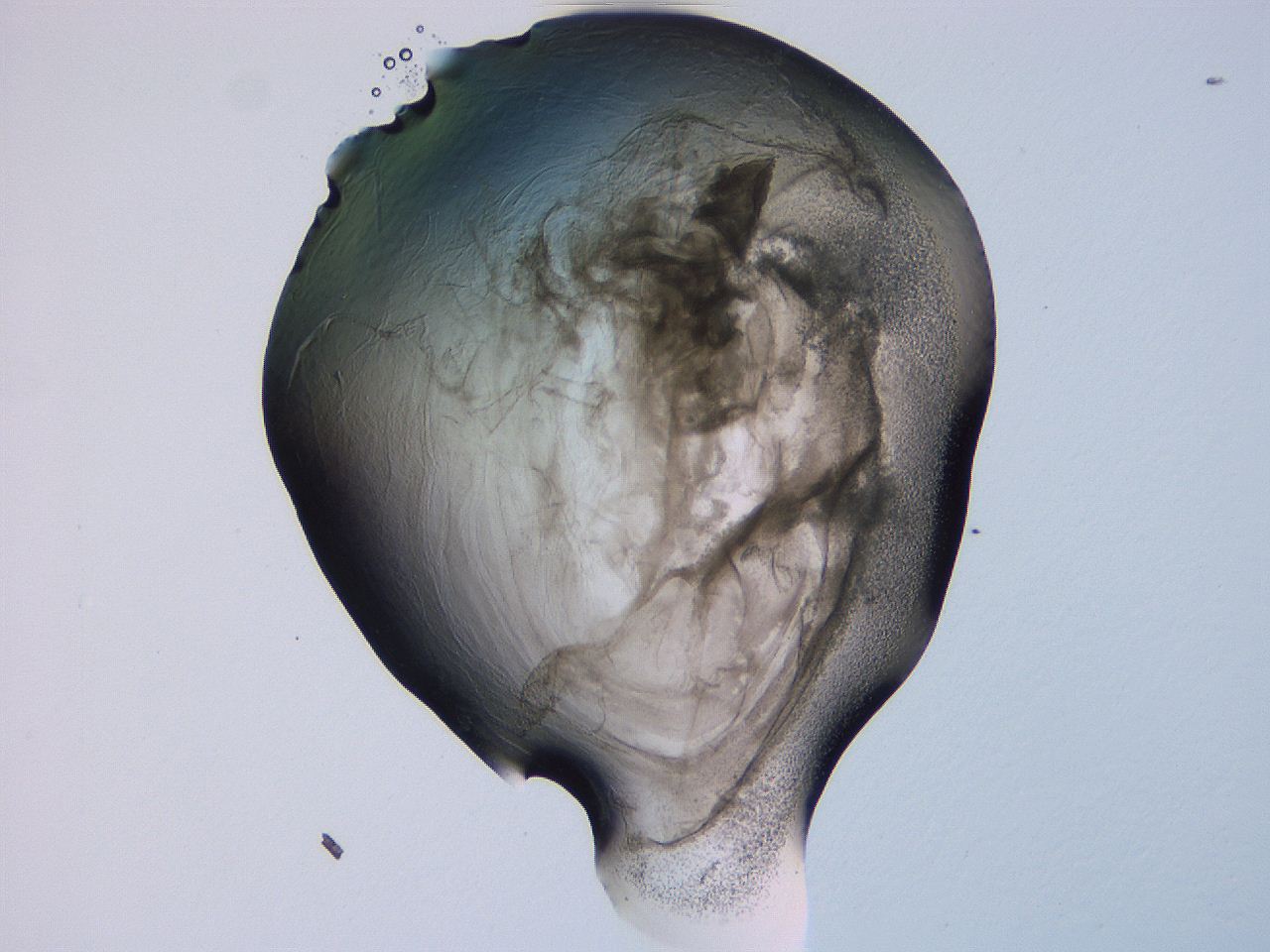 04g2_F8_ImagerDefaults_3.jpg