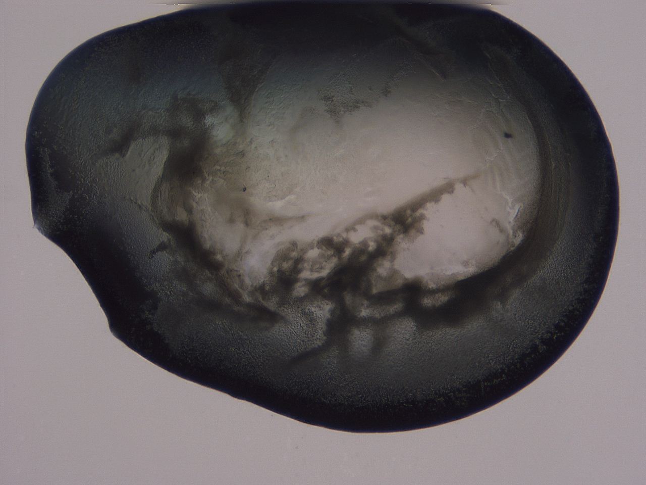 04g2_F11_ImagerDefaults_3.jpg