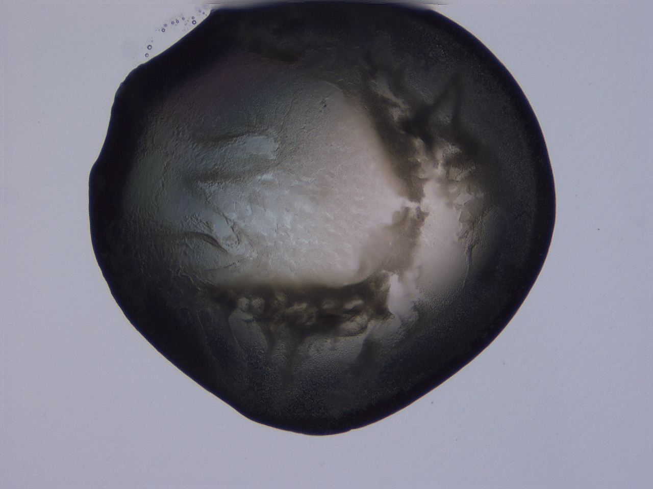04g2_F12_ImagerDefaults_3.jpg