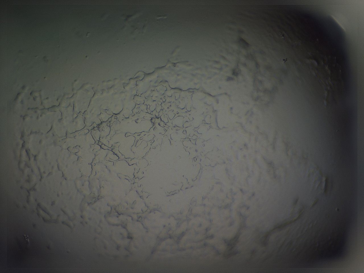 04g2_G2_ImagerDefaults_3.jpg