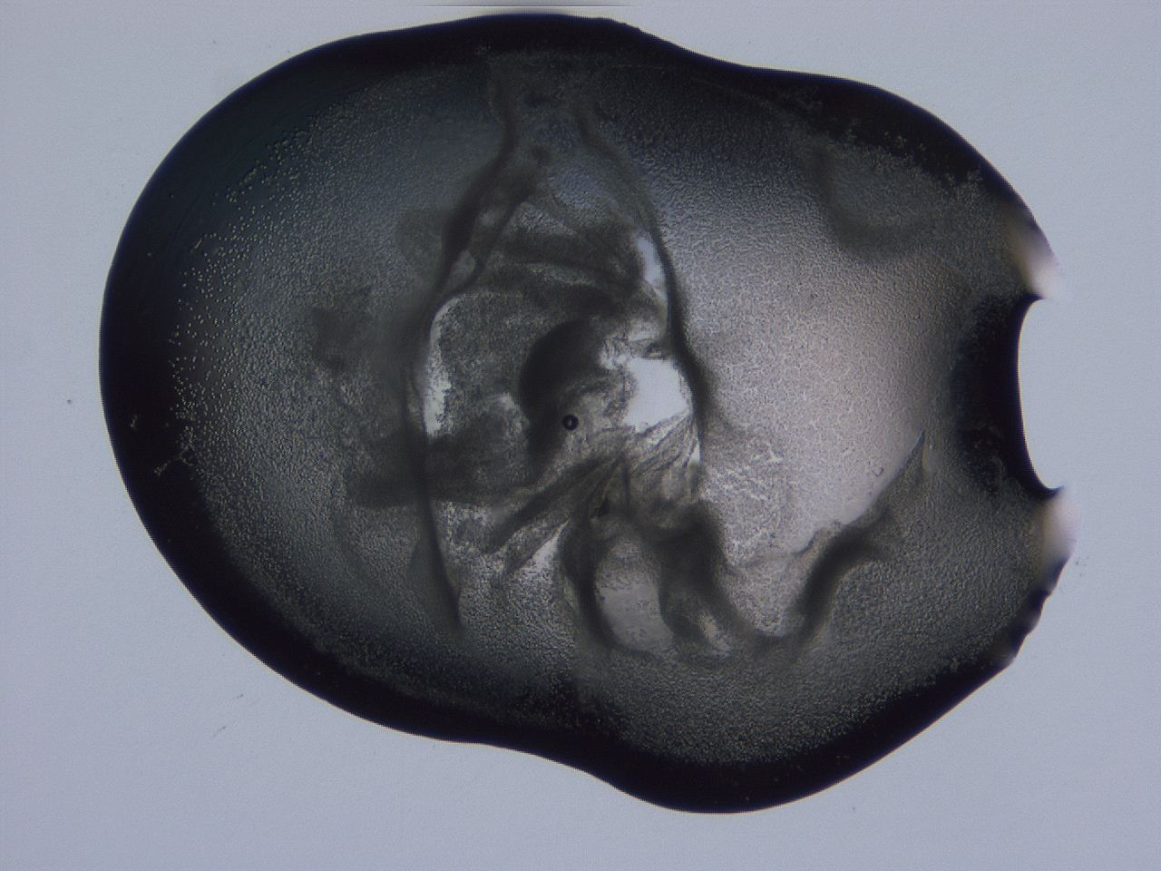 04g2_G5_ImagerDefaults_3.jpg
