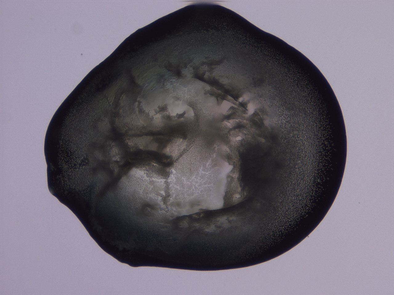 04g2_G7_ImagerDefaults_3.jpg