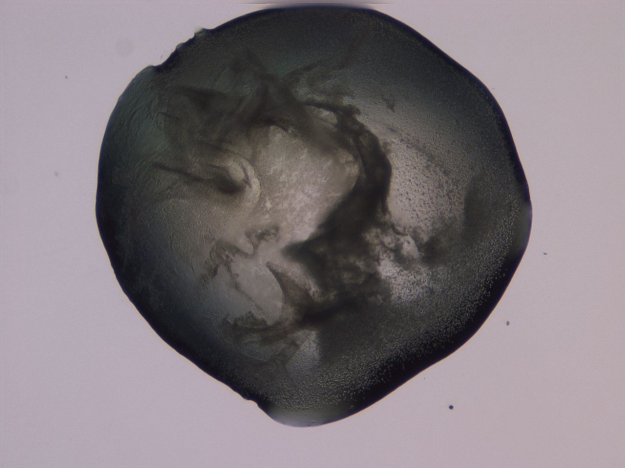 04g2_G8_ImagerDefaults_3.jpg