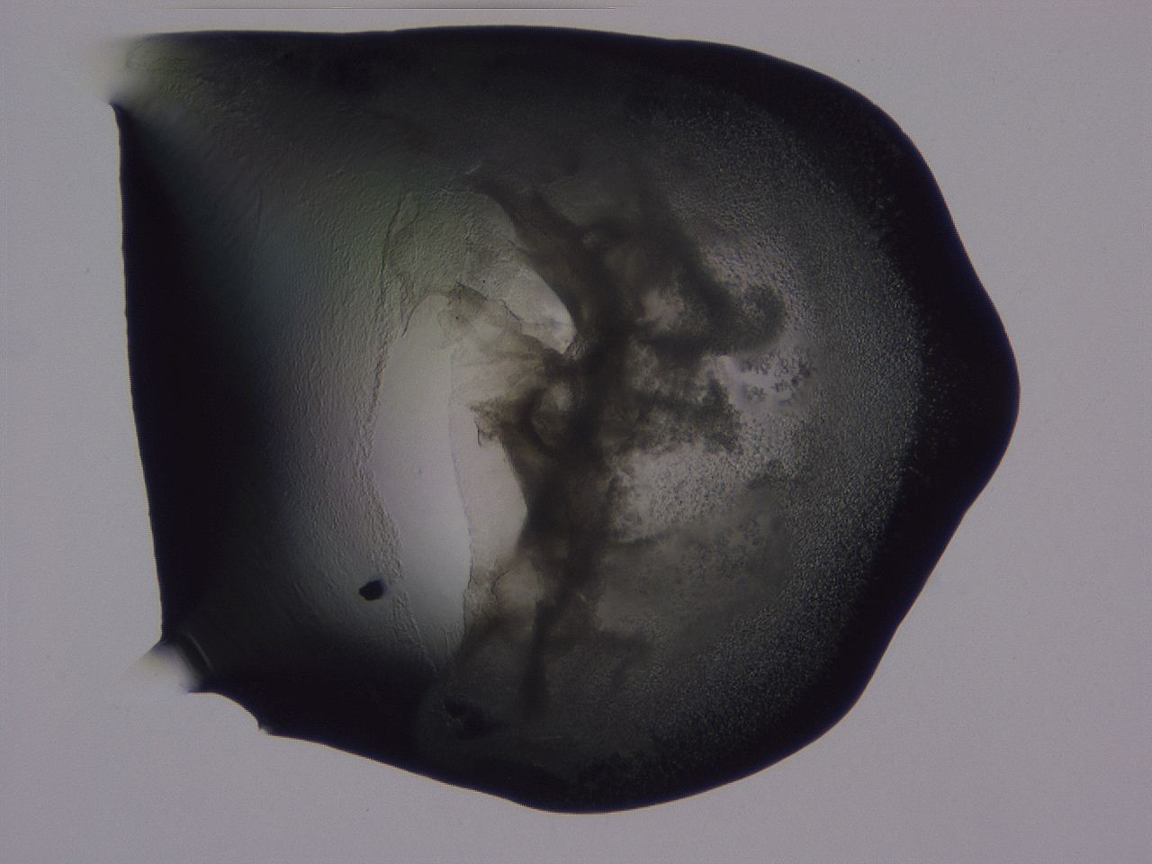 04g2_H3_ImagerDefaults_3.jpg