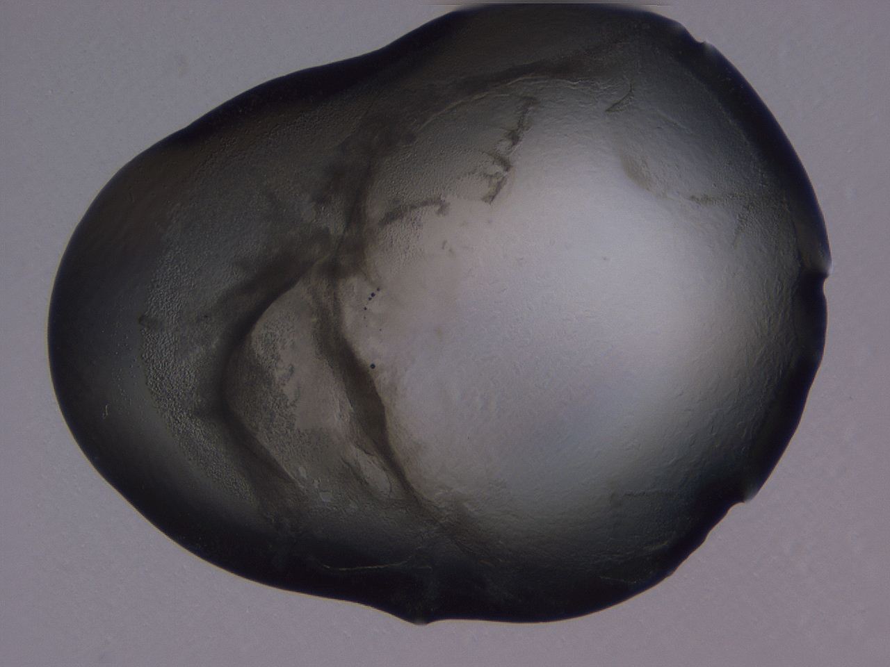 04g2_H4_ImagerDefaults_3.jpg