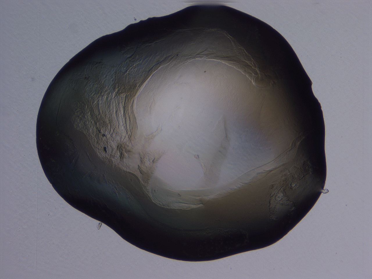 04g2_H5_ImagerDefaults_3.jpg