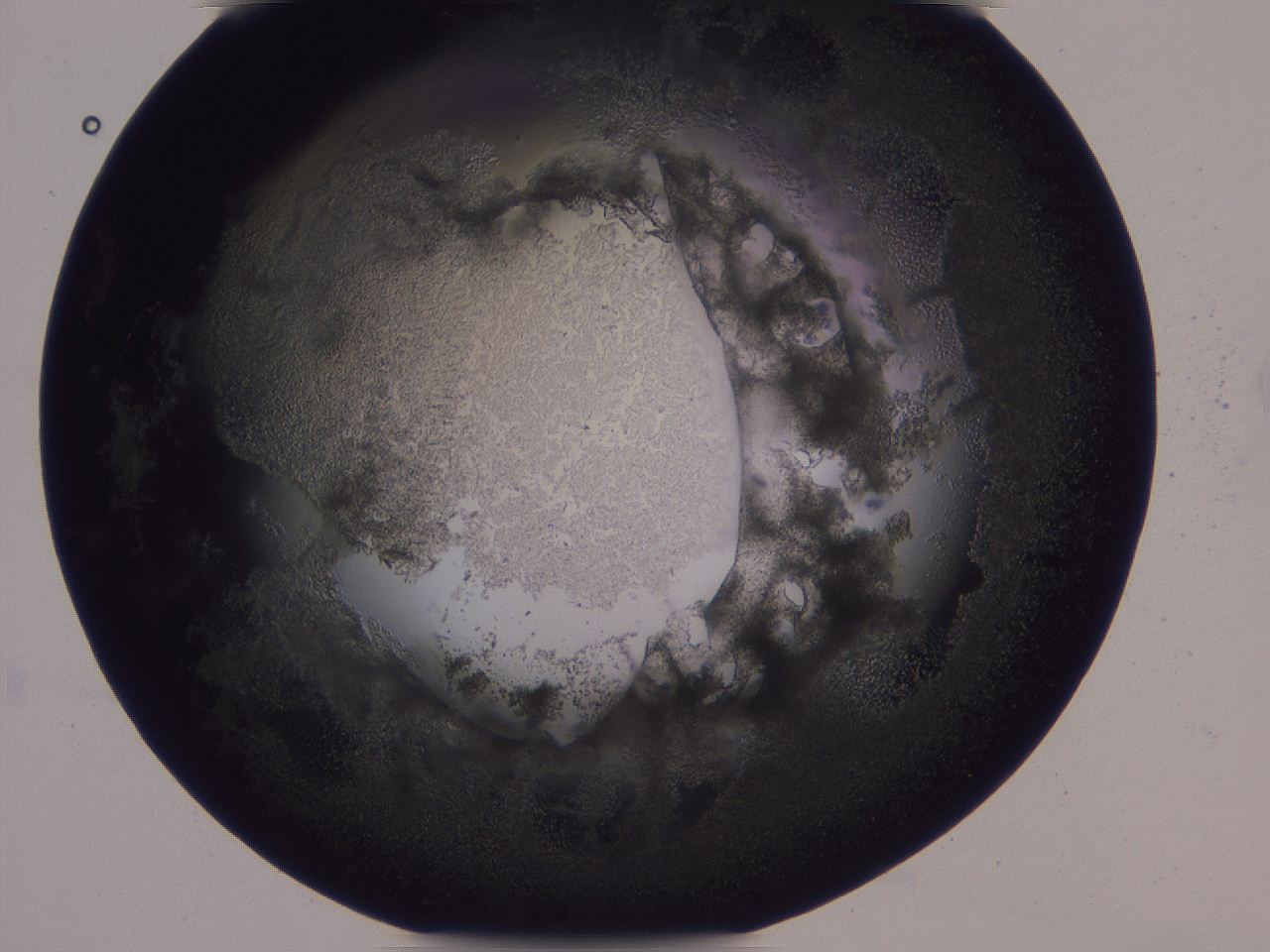 04g2_H10_ImagerDefaults_3.jpg