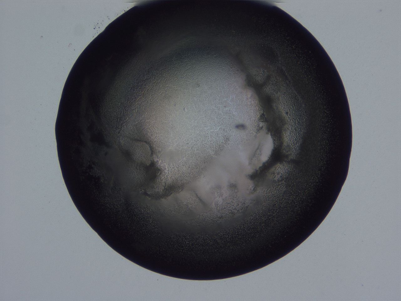 04g2_H11_ImagerDefaults_3.jpg