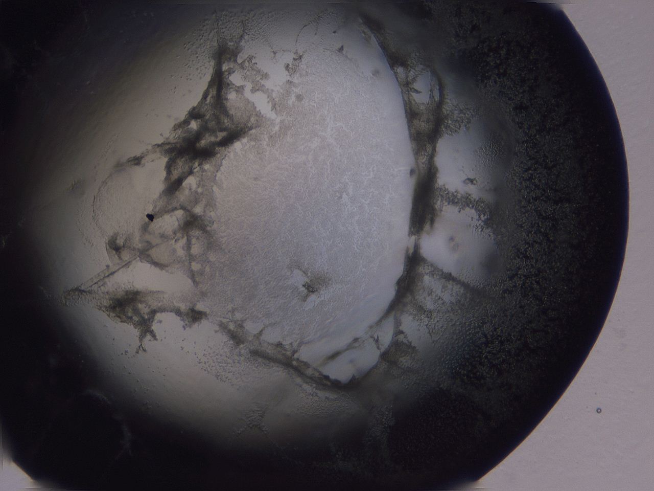 04g2_H12_ImagerDefaults_3.jpg