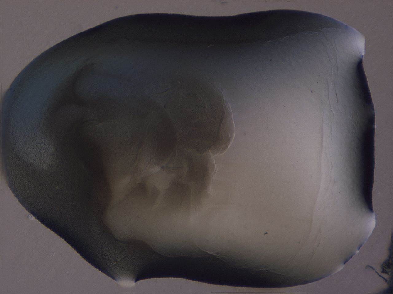 04g3_A1_ImagerDefaults_3.jpg