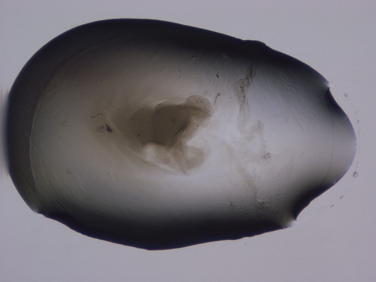 04g3_A7_ImagerDefaults_3.jpg