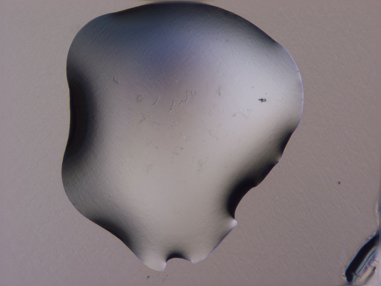 04g3_A9_ImagerDefaults_0.jpg