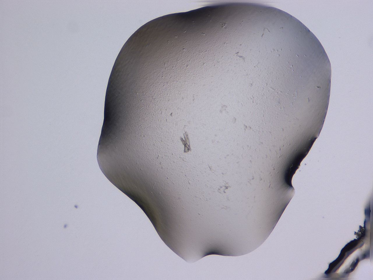 04g3_A11_ImagerDefaults_0.jpg