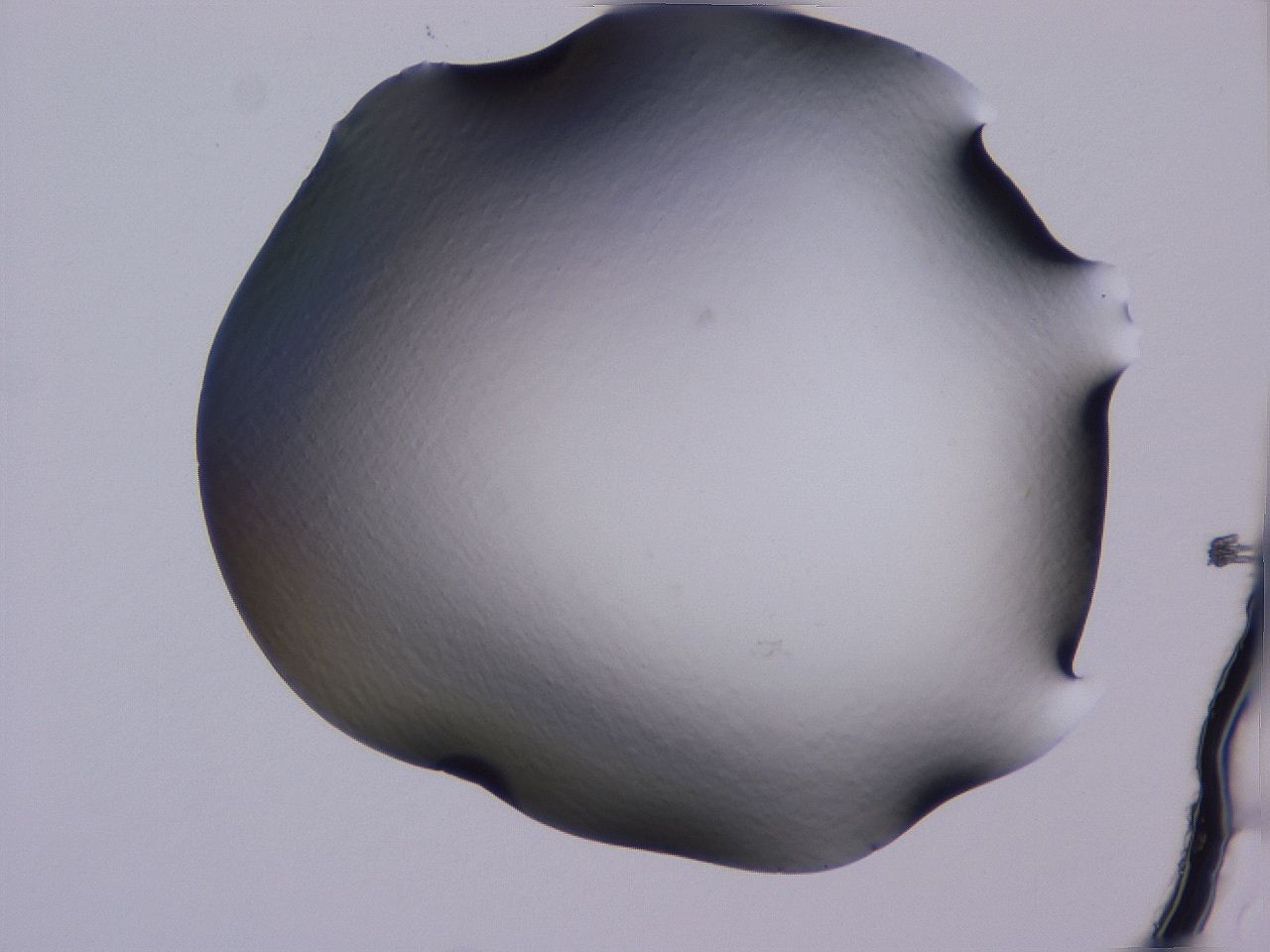 04g3_A12_ImagerDefaults_0.jpg