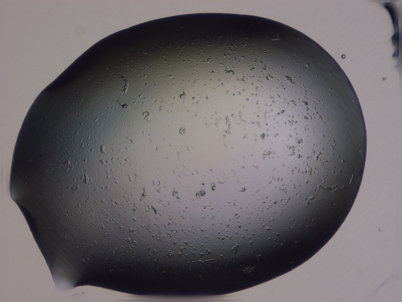 04g3_B1_ImagerDefaults_0.jpg