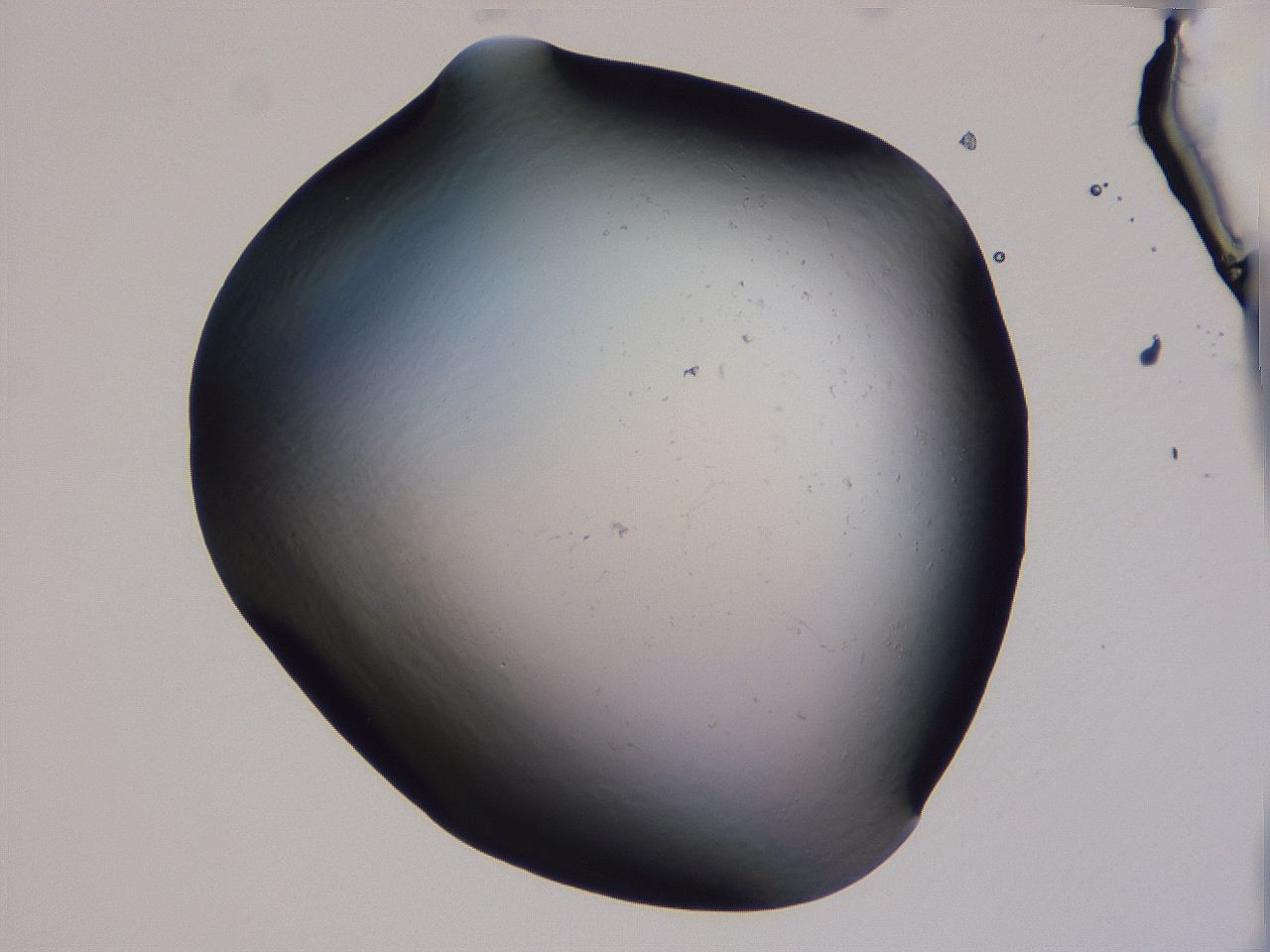04g3_B2_ImagerDefaults_0.jpg