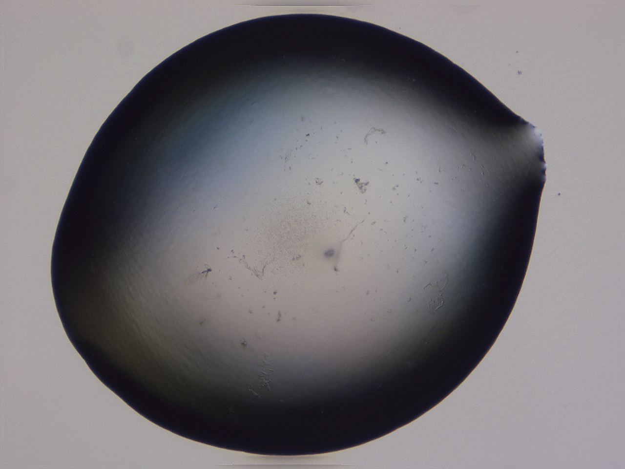 04g3_B3_ImagerDefaults_0.jpg