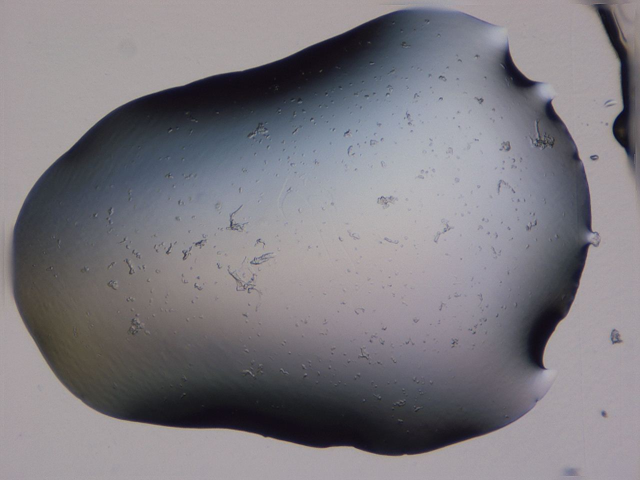 04g3_B6_ImagerDefaults_0.jpg