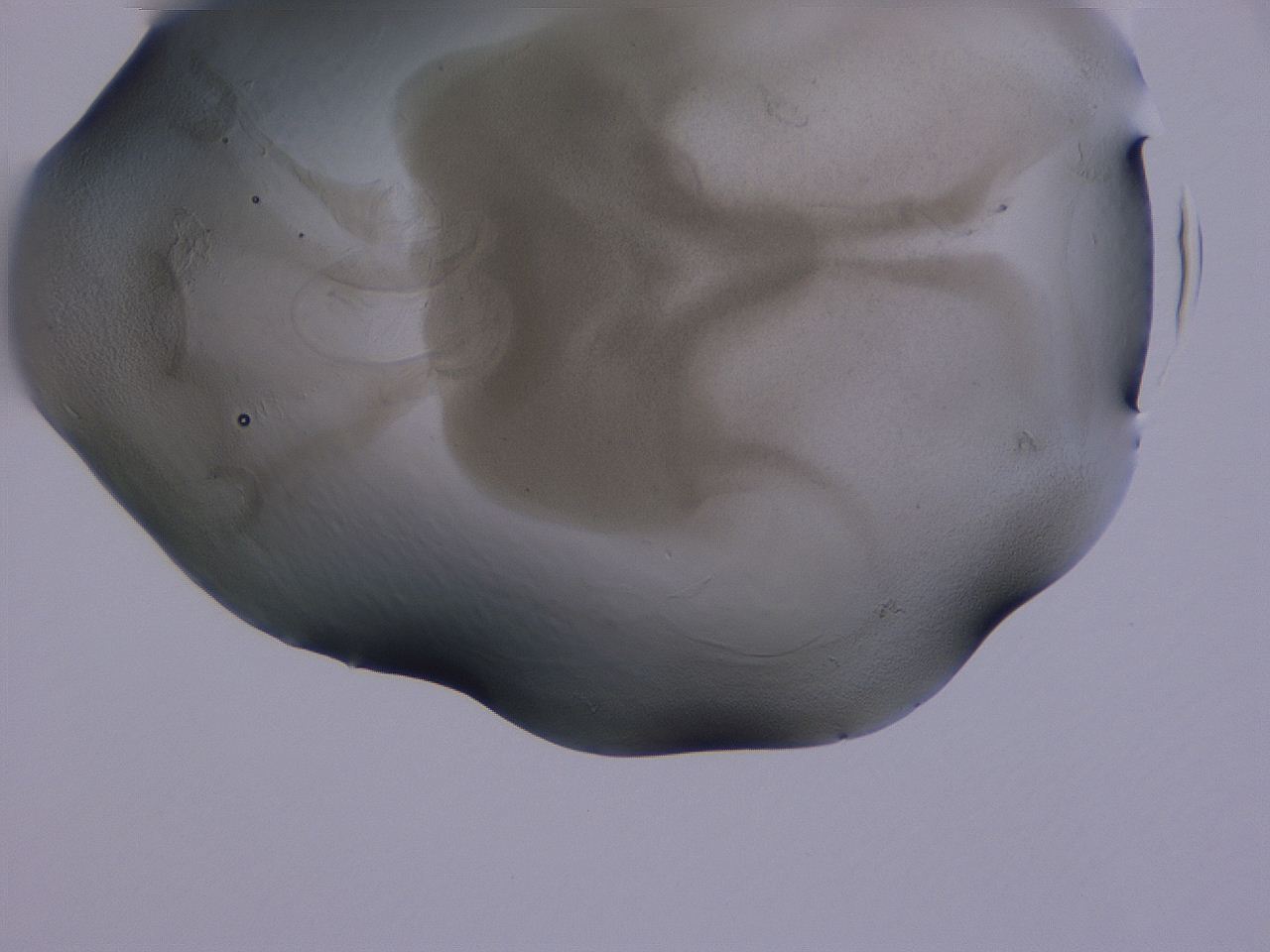 04g3_B9_ImagerDefaults_3.jpg