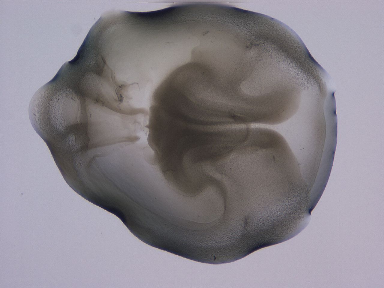04g3_B12_ImagerDefaults_3.jpg