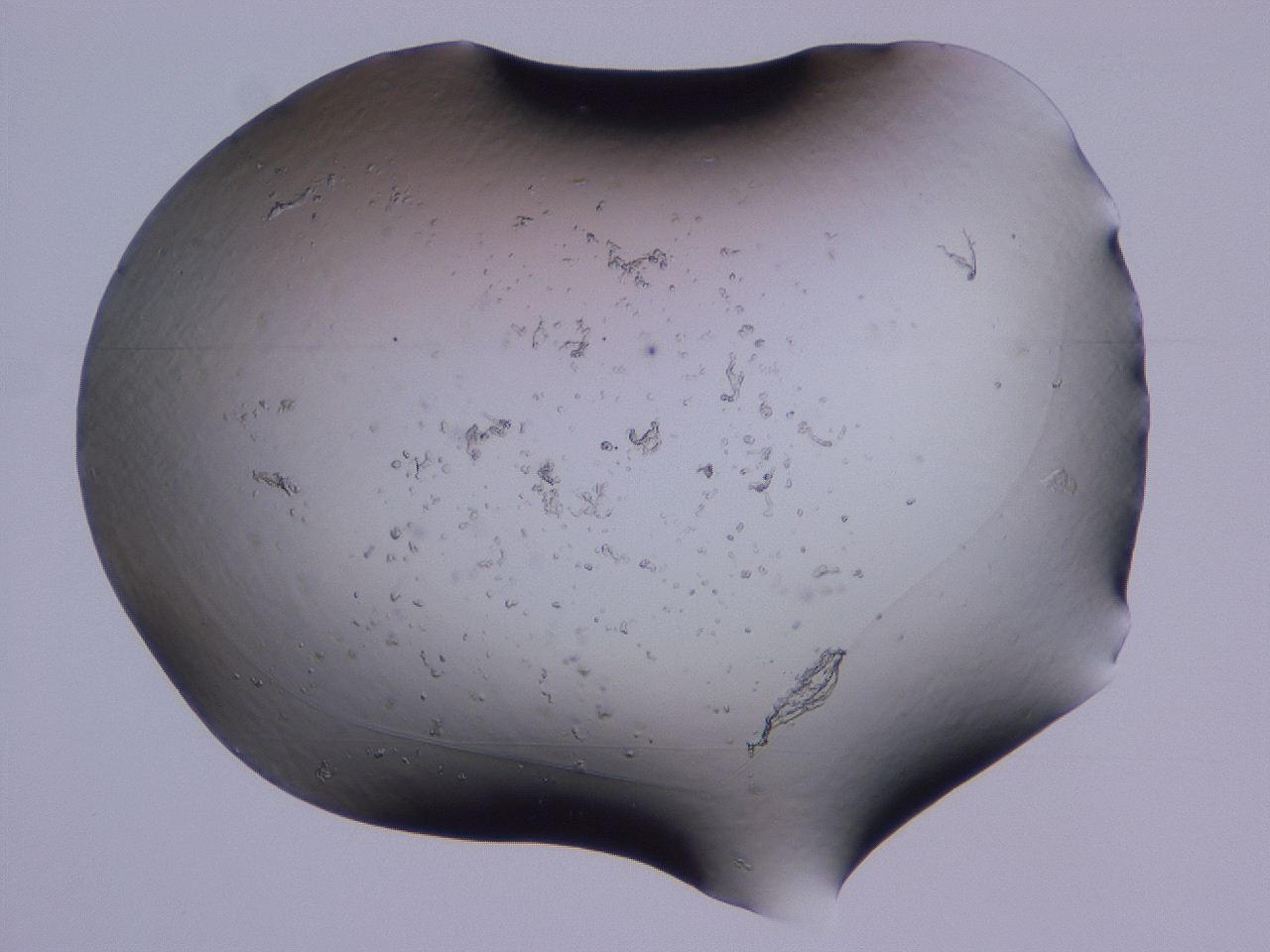 04g3_C4_ImagerDefaults_3.jpg