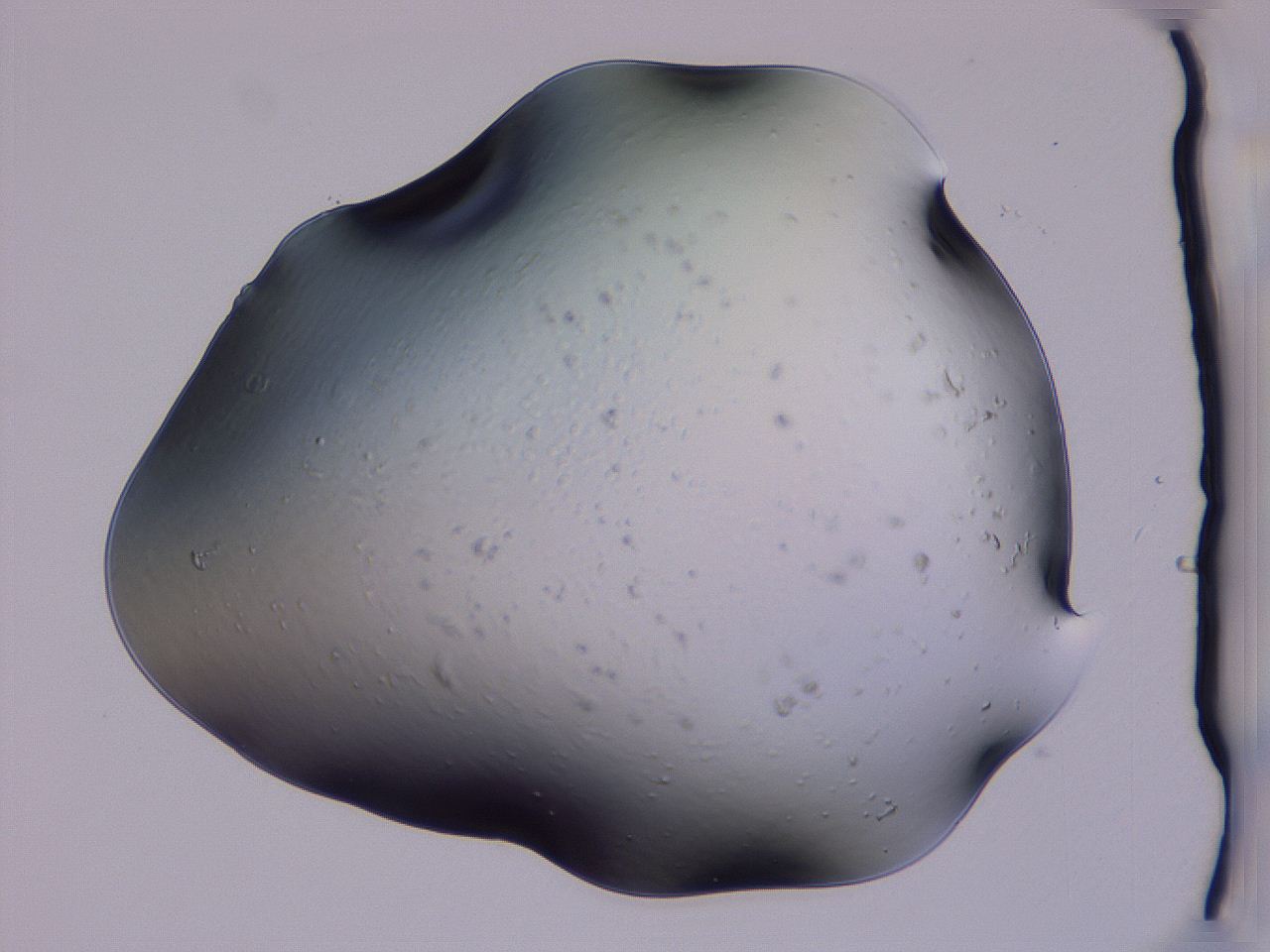 04g3_C6_ImagerDefaults_3.jpg