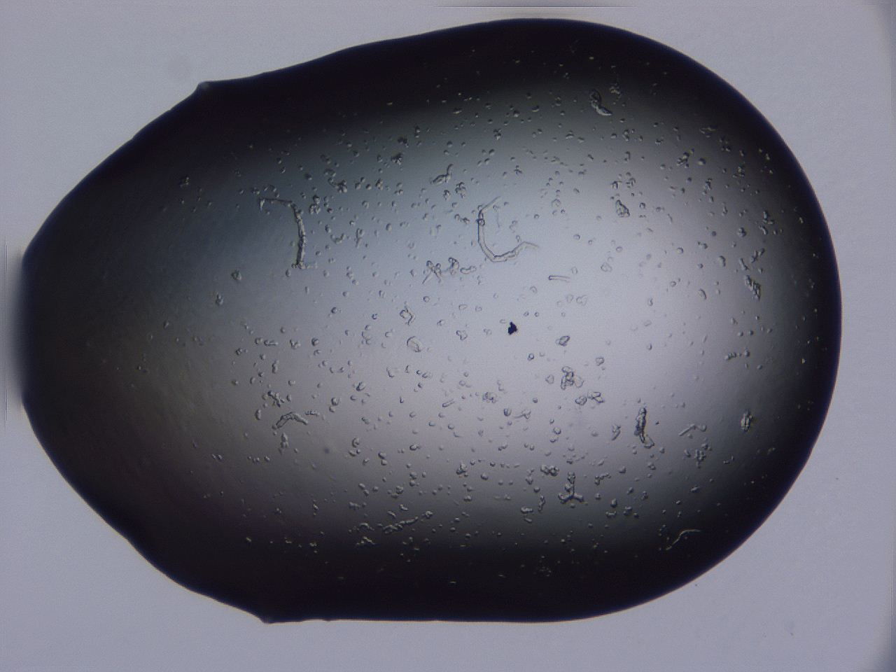 04g3_C7_ImagerDefaults_0.jpg