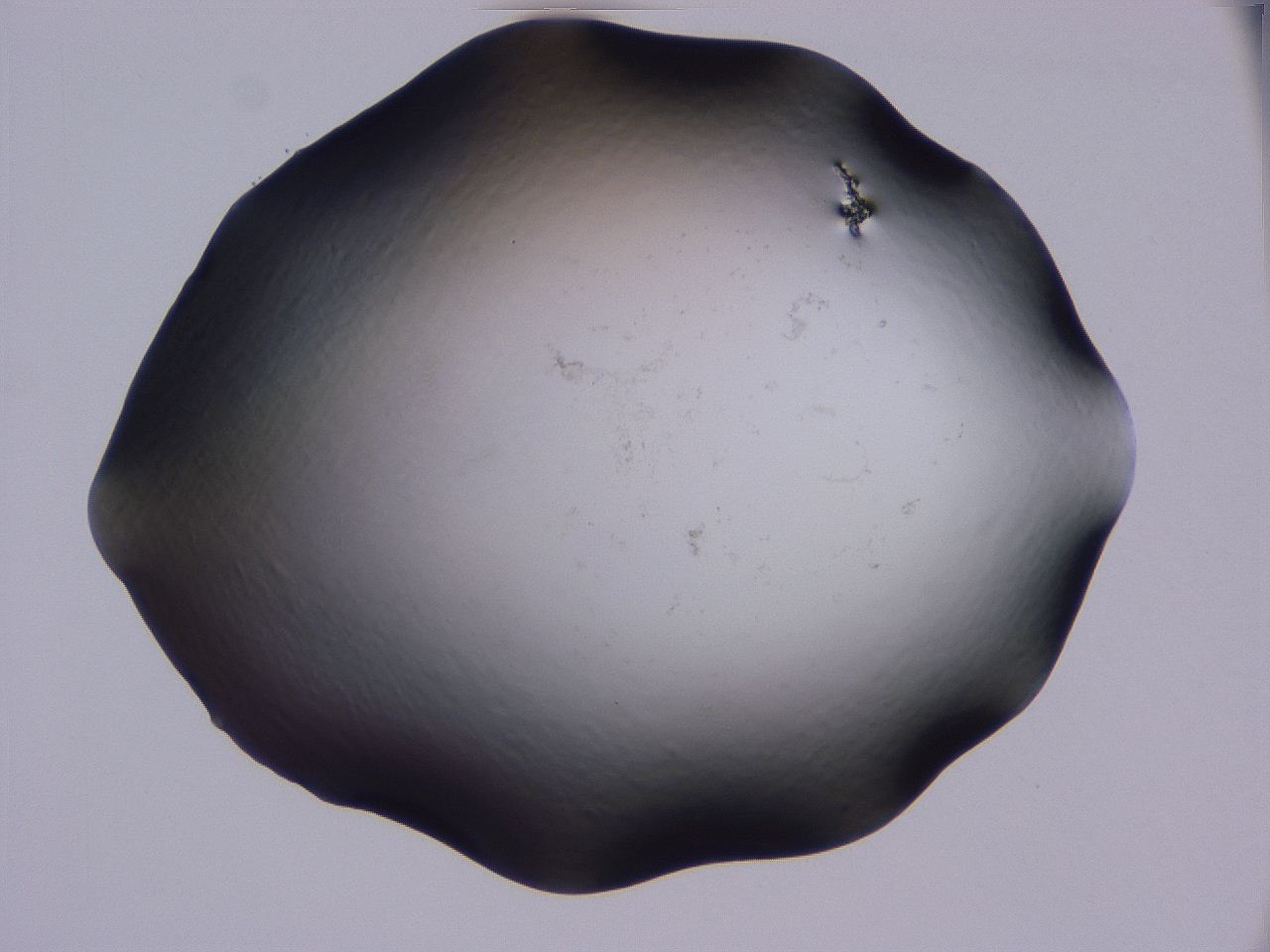 04g3_C8_ImagerDefaults_0.jpg