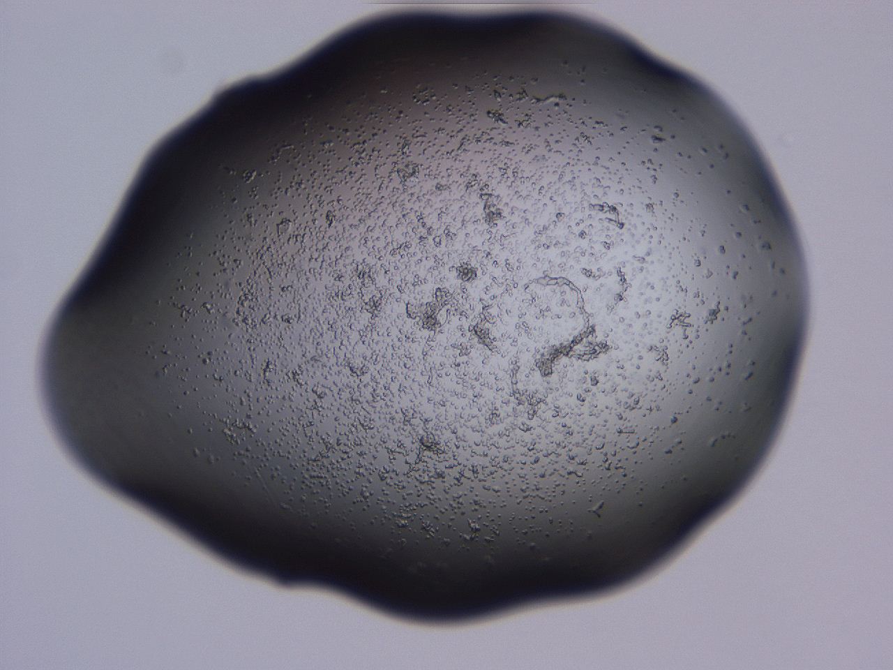 04g3_C9_ImagerDefaults_3.jpg