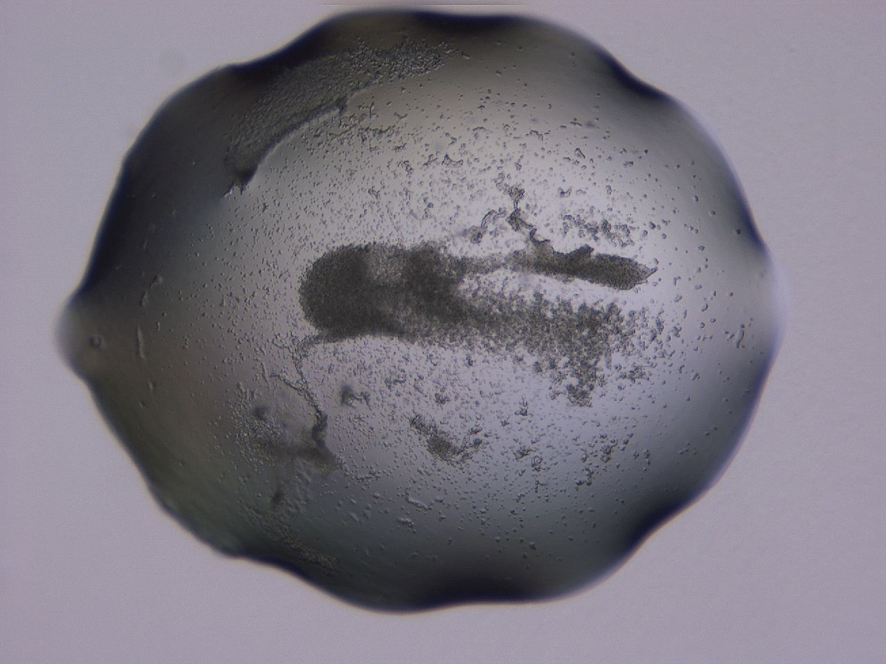 04g3_C10_ImagerDefaults_3.jpg