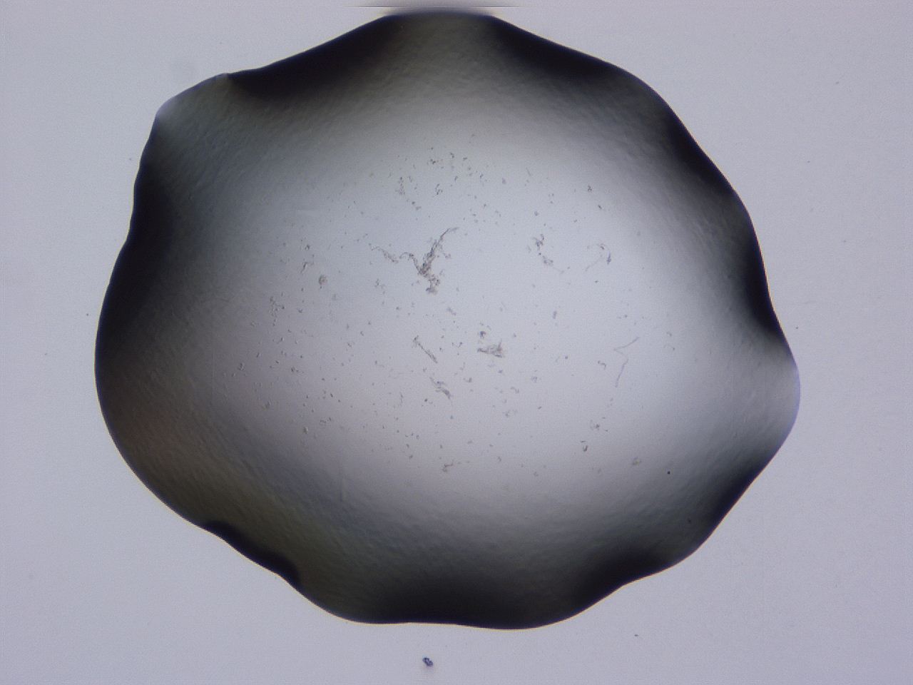 04g3_C11_ImagerDefaults_0.jpg