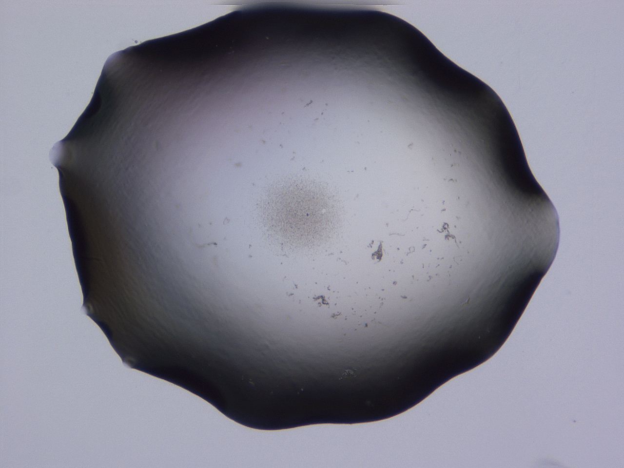 04g3_C12_ImagerDefaults_0.jpg