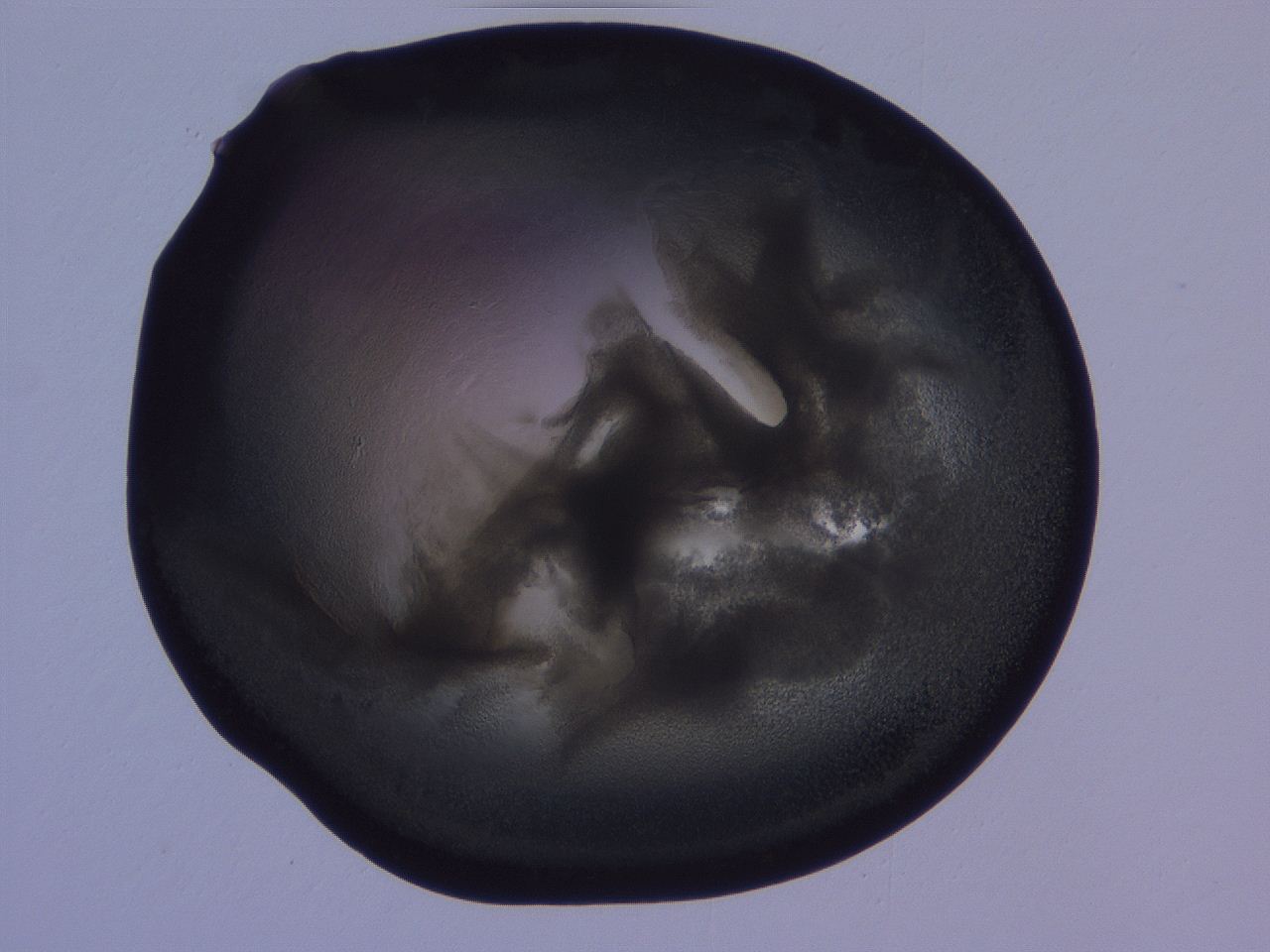 04g3_D1_ImagerDefaults_3.jpg