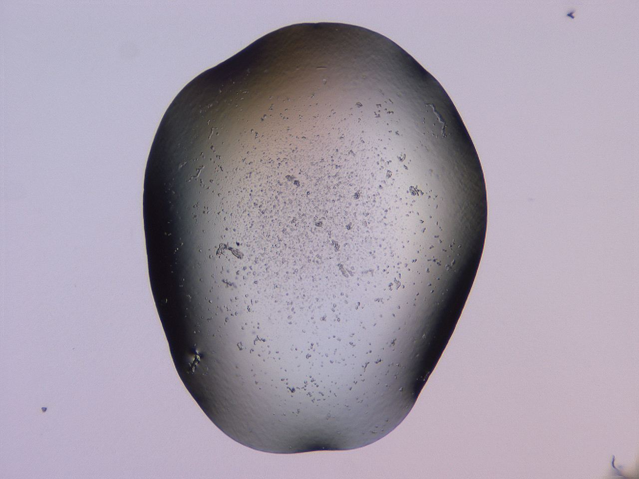04g3_D2_ImagerDefaults_3.jpg