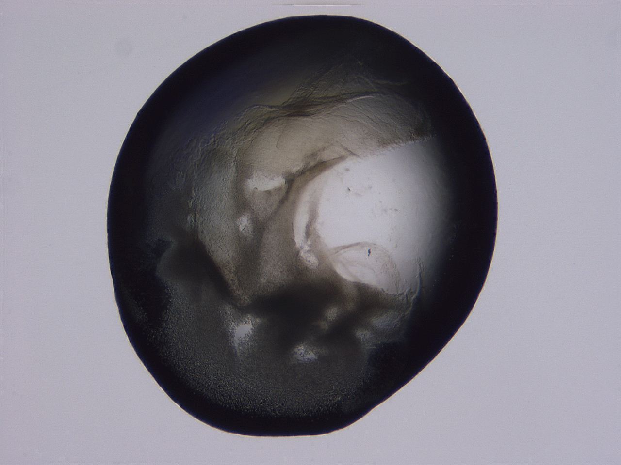 04g3_D3_ImagerDefaults_3.jpg