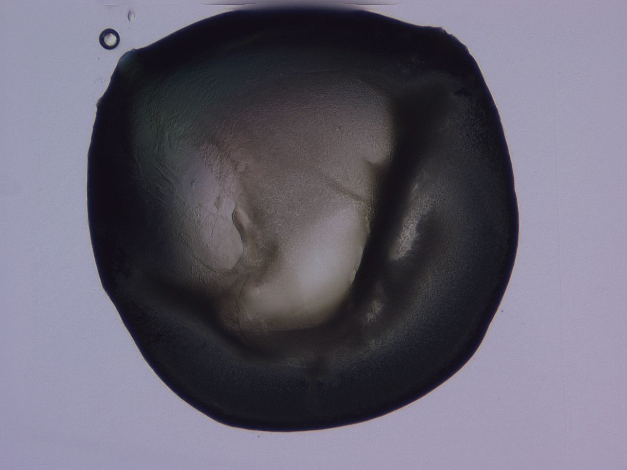 04g3_D5_ImagerDefaults_3.jpg