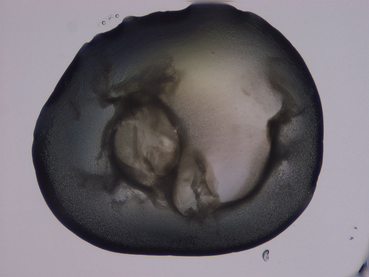 04g3_D6_ImagerDefaults_3.jpg