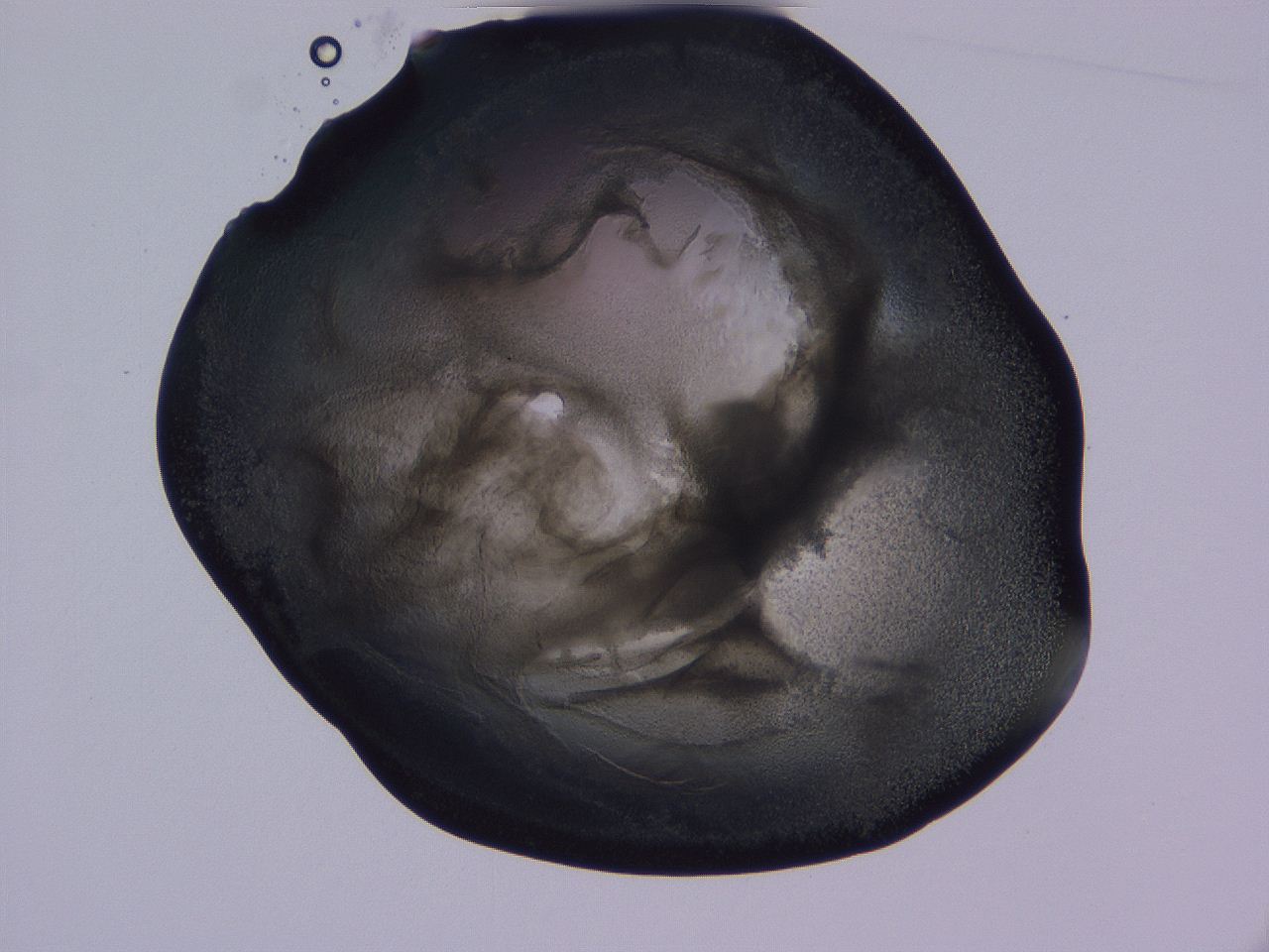04g3_D8_ImagerDefaults_3.jpg
