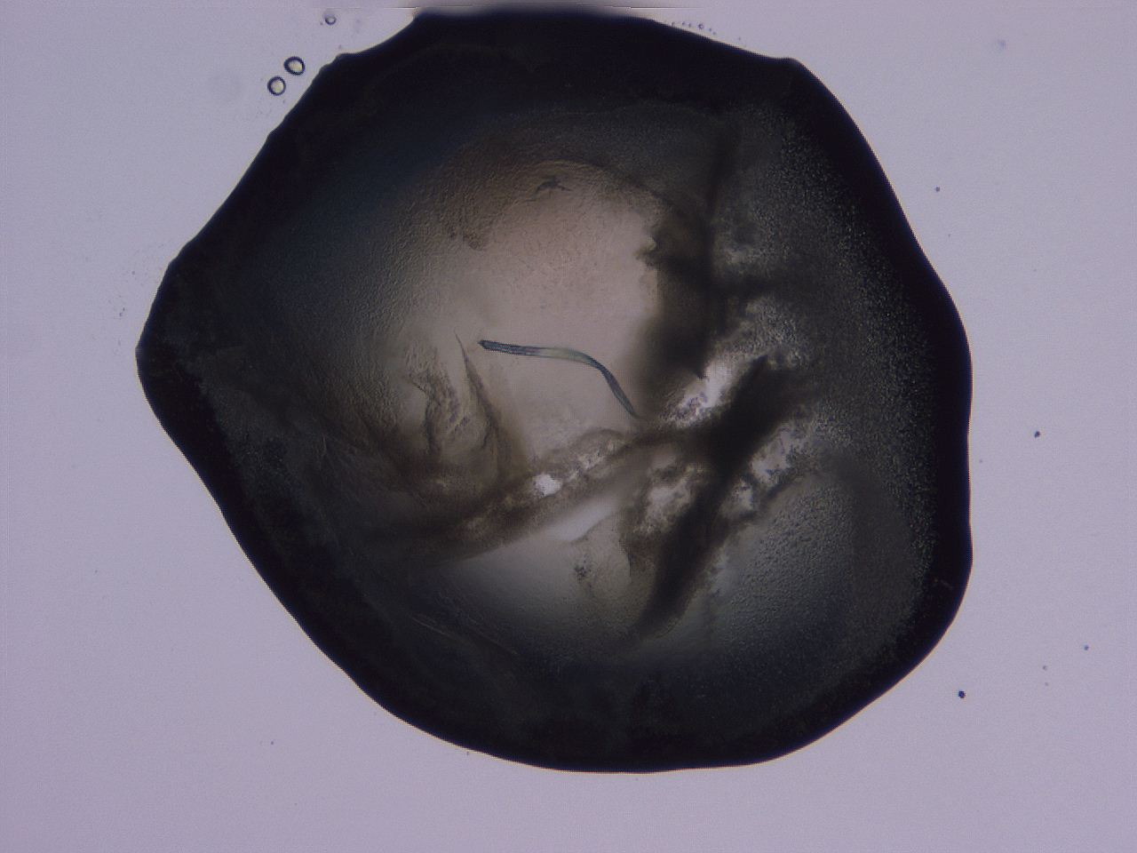 04g3_D10_ImagerDefaults_3.jpg