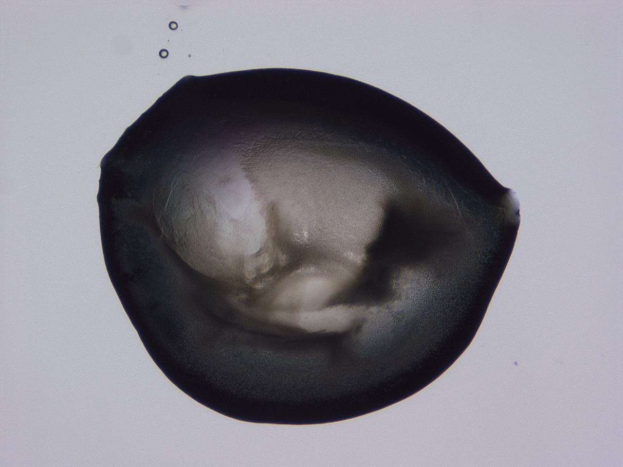 04g3_D11_ImagerDefaults_3.jpg