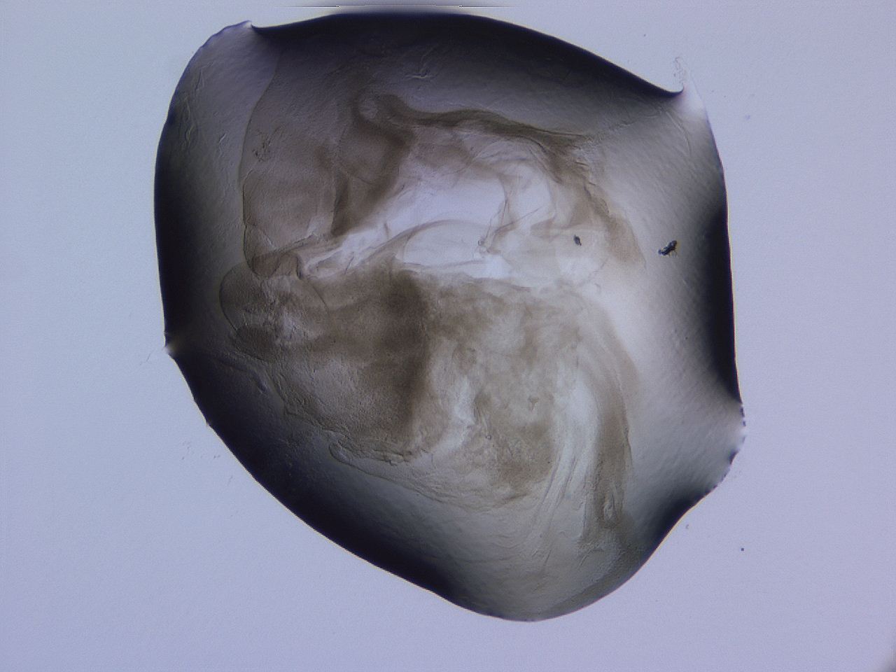 04g3_E10_ImagerDefaults_3.jpg