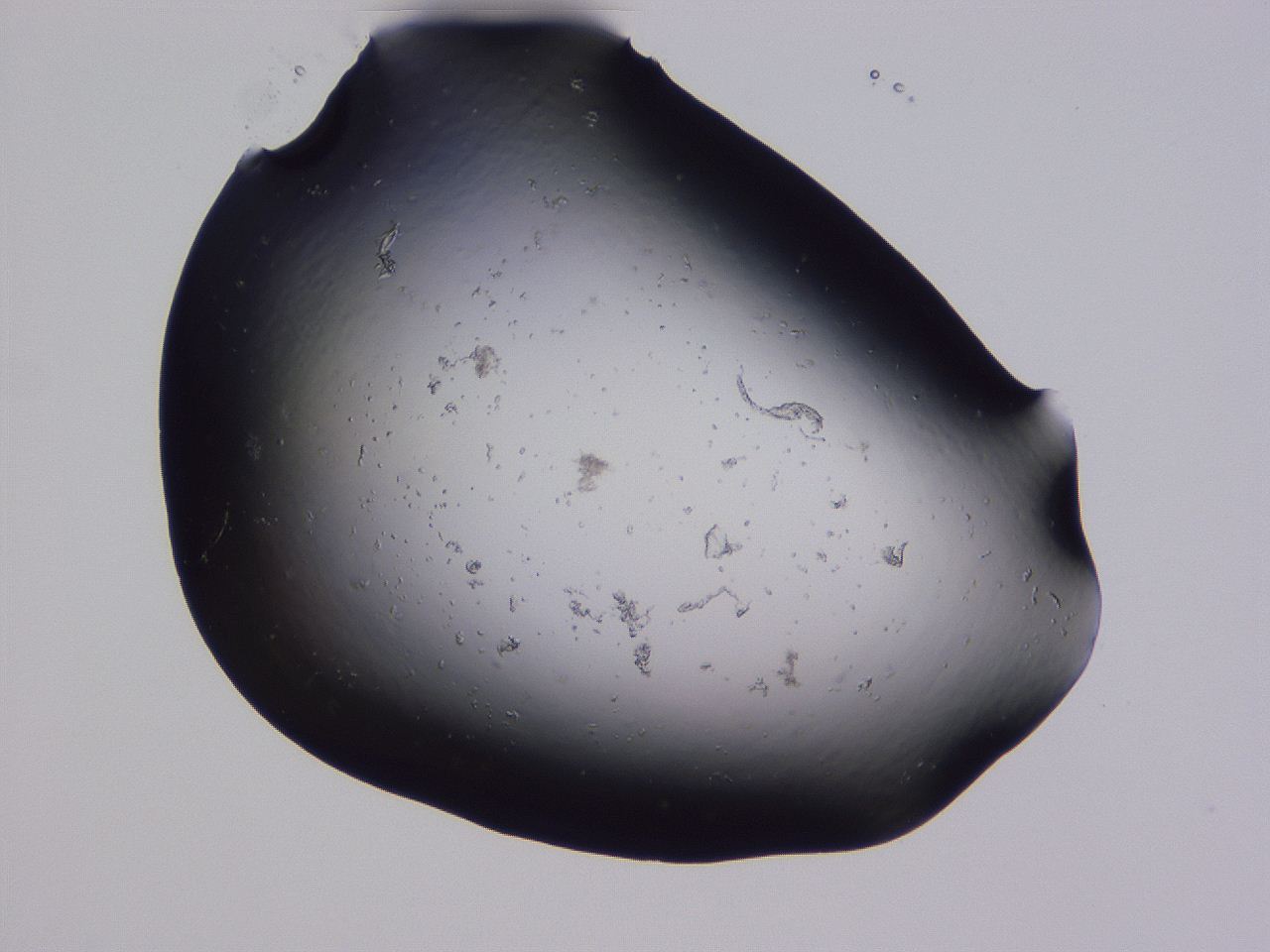 04g3_E11_ImagerDefaults_0.jpg