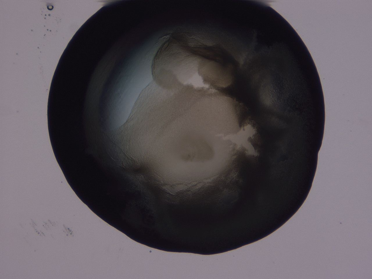 04g3_E12_ImagerDefaults_3.jpg