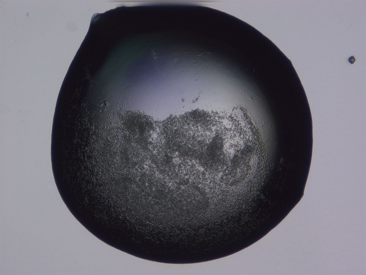 04g3_F3_ImagerDefaults_3.jpg