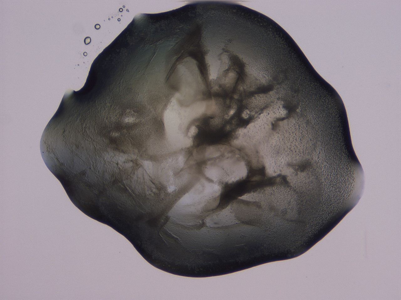 04g3_F11_ImagerDefaults_3.jpg